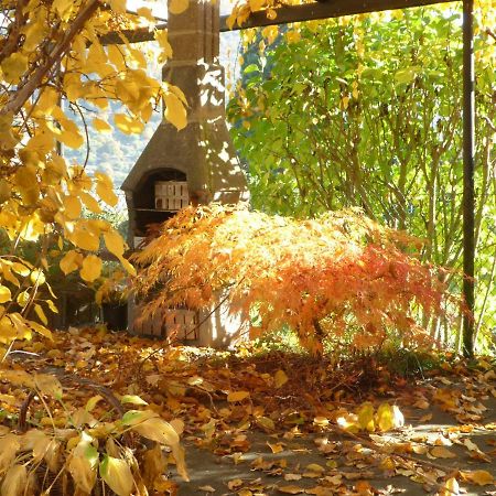 Fewo Batek Trechtingshausen ภายนอก รูปภาพ
