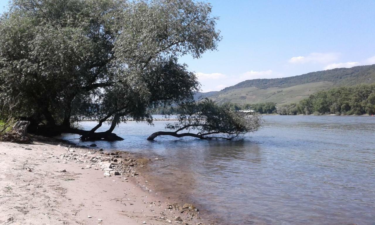 Fewo Batek Trechtingshausen ภายนอก รูปภาพ